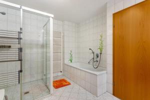 a bathroom with a shower and a bath tub at Ferienwohnung Edelweiß in Bad Reichenhall +16 photos