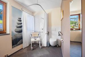 a bathroom with a toilet and a shower at Lichtblick in Weiler-Simmerberg +27 photos