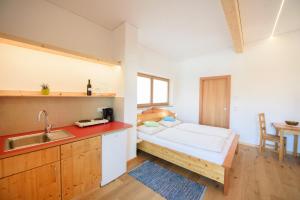 a kitchen with a bed and a sink in a room at Peter Paul Studio Buchwald in Appiano Sulla Strada Del Vino