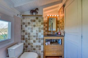 a bathroom with a toilet and a sink and a mirror at Le Mazet Du Maréchal Ferrant in Maguelonne-la-Sauvage