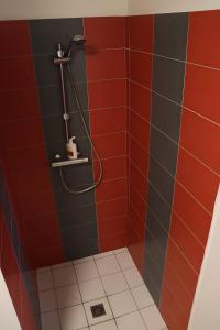 a bathroom with red and black tiles and a shower at Gite Chez Jeanne in Pern +11 photos