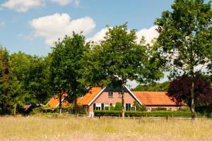 een huis in het midden van een veld met bomen bij "Ni-jland" in Winterswijk