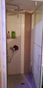 a shower with a glass door in a bathroom at Le Coq De Champagne in Dormans