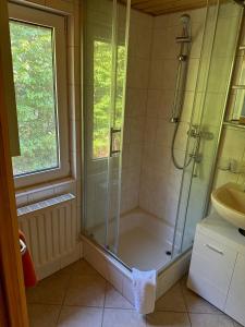 a bathroom with a shower and a sink at Haus Waldidyll am Briesensee in Neu Zauche +28 photos