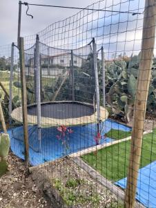 ein Schlagkäfig um einen Pool in einem Garten in der Unterkunft Recanto Do Pinhal E Mar in Carriço