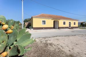 ein gelbes Haus mit einem Kaktus davor in der Unterkunft Recanto Do Pinhal E Mar in Carriço