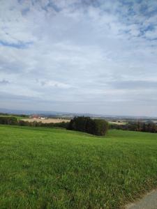 a large field of green grass with a blue sky at Unser Großer - Tiny House in Mayrhof +7 photos