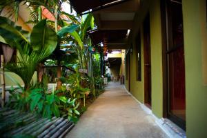 a hallway of a building with plants on the side at Belen Suites in San Antonio