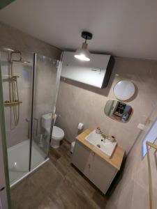 a bathroom with a shower and a sink and a toilet at Jo And Manu's Barn in Falaise +21 photos