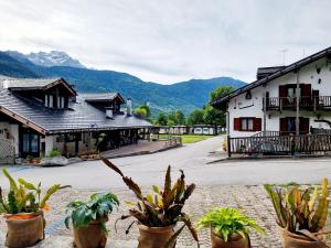 a group of potted plants in front of a building at Appartamento Adamello 13 in Pinzolo