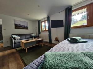 a bedroom with a bed and a couch and a tv at Ferienwohnung Vordere Halde in Elzach
