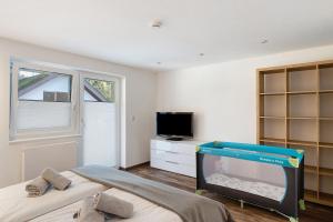 a bedroom with a tv and a bed and a tvicterictericter at Forest Apartment - Renchen in Renchen