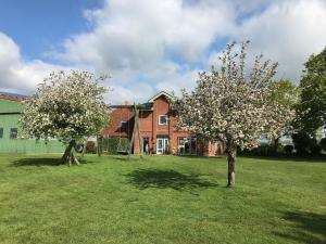two trees in a yard in front of a house at Ferienhof Anke Thiede in Lehe