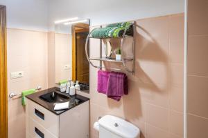 a small bathroom with a sink and a toilet at Matxingonea 1 in Urdax +21 photos