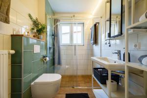 a bathroom with a shower and a toilet and a sink at s'Lähmes auf der Schwend in Kappelrodeck +28 photos