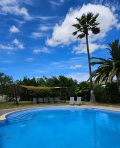 a swimming pool with chairs and a palm tree at Quinta da Romã in Olhão