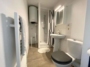 a small bathroom with a toilet and a sink at Hyper centre, rue piétonne, calme et lumineux in Dijon