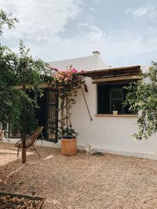 a white house with a window and a bench at Sa caseta mallorca Studio in Algaida +4 photos