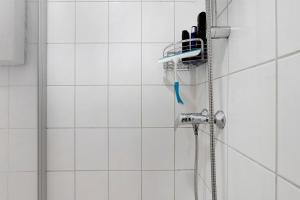 a shower with a hose and a shower head at Az-Living Feudenheim in Mannheim +14 photos