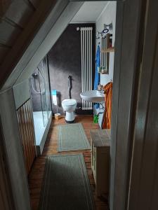 a bathroom with a toilet and a sink with rugs at Ferienunterkunft Göhlich in Maintal