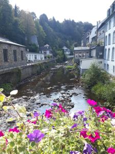 a river in a town with flowers in the foreground at Ferienwohnung Tante Martha in Monschau