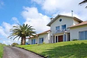 a house with a palm tree on the side of a road at Vivenda do Monte in Achadinha