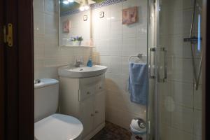 a bathroom with a toilet and a sink and a shower at Fuenternilla in Carranza +25 photos