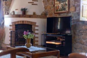a living room with a fireplace and a television at Fuenternilla in Carranza