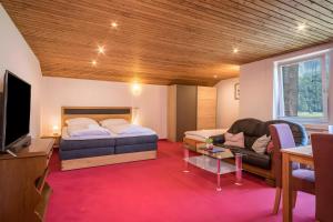 a living room with a bed and a couch at Ferienhaus Villa Kanisblick in Bizau