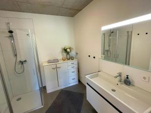 a bathroom with a shower and a sink and a mirror at Ferienwohnung Grüner Ausblick in Elzach +27 photos