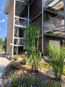 a building with a balcony and purple flowers at Ferienwohnung Bodensee 2 in Meßkirch