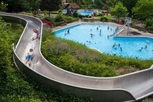 a group of people in a swimming pool at Ferienwohnung Kist in Sasbachwalden