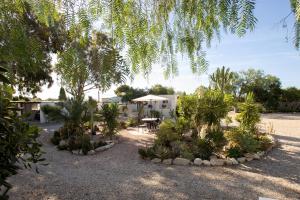 a garden with palm trees and a house in the background at La Casita in San Vicente del Raspeig