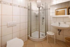 a bathroom with a shower and a sink at Haus Lowe Apartment Erdgeschoss 1 in Filzmoos +17 photos