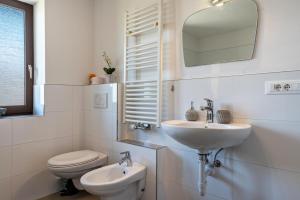 a bathroom with a sink and a toilet and a mirror at Gatscherhof Apt Abendrot in Luson
