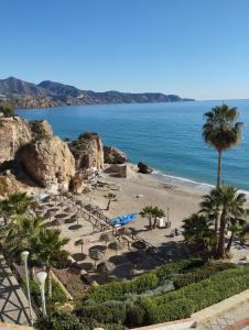 a beach with a palm tree and the ocean at Recreo 10 in Torrox