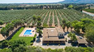an aerial view of a house with a pool and a vineyard at Es Caulls in Llubí