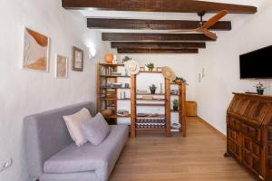 a living room with a couch and a tv at Can Vital 2 in Illes Balears +12 photos