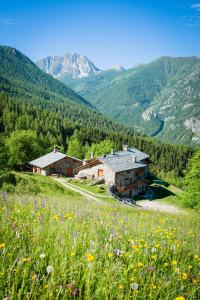 a house on a hill with a field of flowers at Civico 5 in Marmora