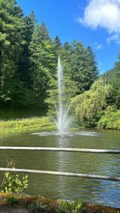 a fountain in the middle of a pond at Ferienhaus Lopezan House, Living in Hornberg
