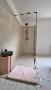 a bathroom with a pink rug and a mirror at Ferienhaus Lopezan House, Living in Hornberg +31 photos