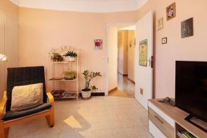 a living room with a tv and a chair at Le Vigan, balcon, parking, animaux in Le Vigan