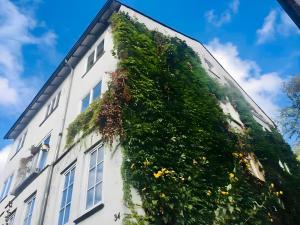 a building with green ivy on the side of it at Am Weinberg Kassel Gästezimmer in Kassel +6 photos