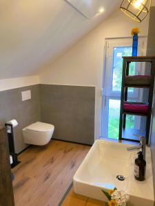 a bathroom with a toilet and a sink at Ferienhaus Riedlodge Bodensee-Obers in Guggenhausen +37 photos