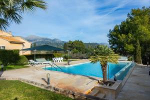 a swimming pool with a palm tree next to a house at El Olivar in El Port de la Selva