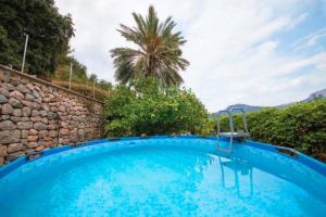 a swimming pool in a villa with a palm tree at Can Garí in Sóller