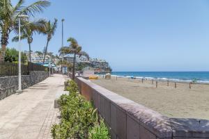 a sandy beach with palm trees and the ocean at Monterojo San Agustin Las Burras in San Agustin