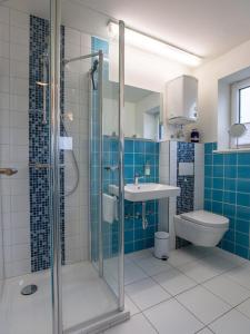a bathroom with a shower and a sink and a toilet at Fewo Op de Warft in Pellworm +5 photos