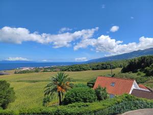 a house in a field with a palm tree at Vista da Baía - Casa do Aniceto in Almas