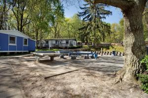 a group of picnic tables in front of a tree at Bungalow Netzboden, Bgl 28 in Dranske